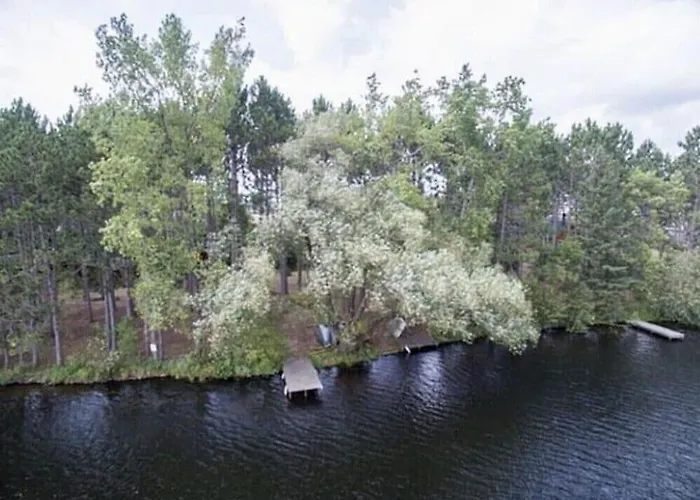 Lakeshore Lily Pad
